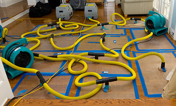 Professional Basement Flood Cleanup technician working in Seagrove, NC